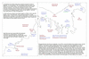 bou38 baie bougainville_thumb.gif